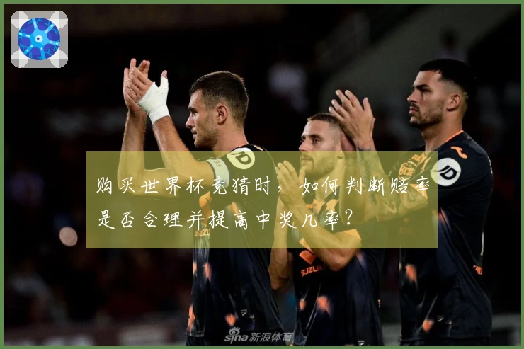 购买世界杯竞猜时，如何判断赔率是否合理并提高中奖几率？