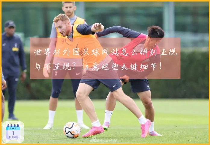 世界杯外围买球网站怎么辨别正规与不正规？注意这些关键细节！