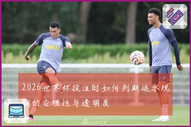 2026世界杯投注时如何判断返水规则的合理性与透明度