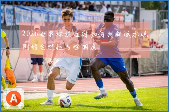 2026世界杯投注时如何判断返水规则的合理性与透明度